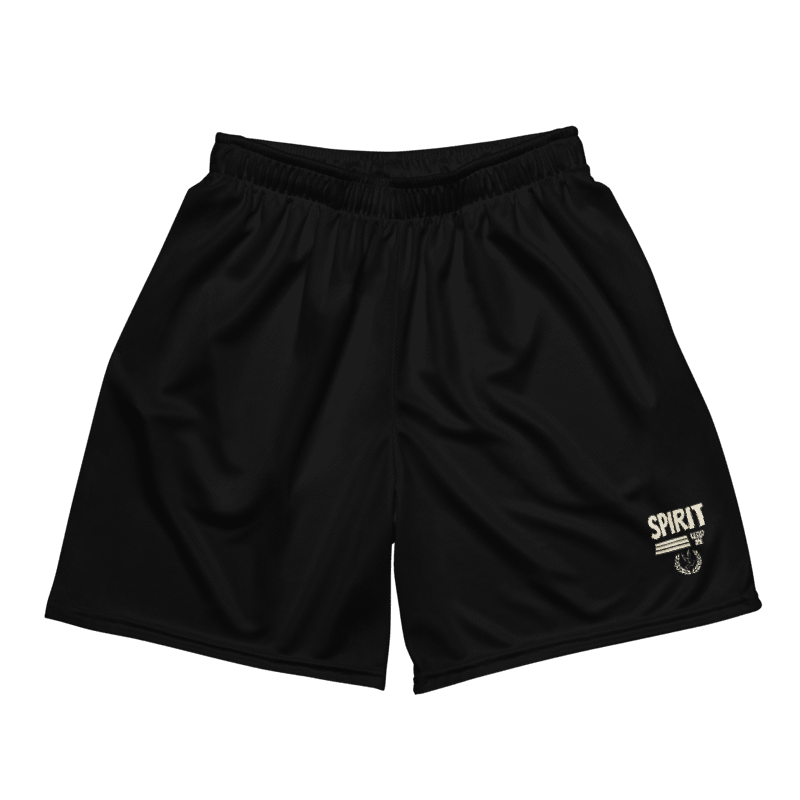 Vintage Style Mesh Shorts