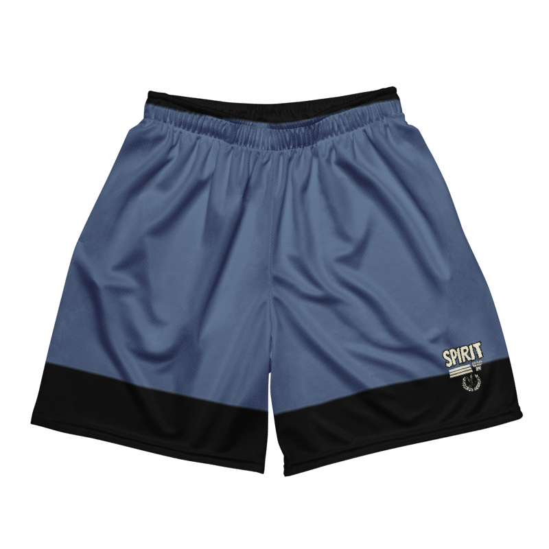 Vintage Style Mesh Shorts