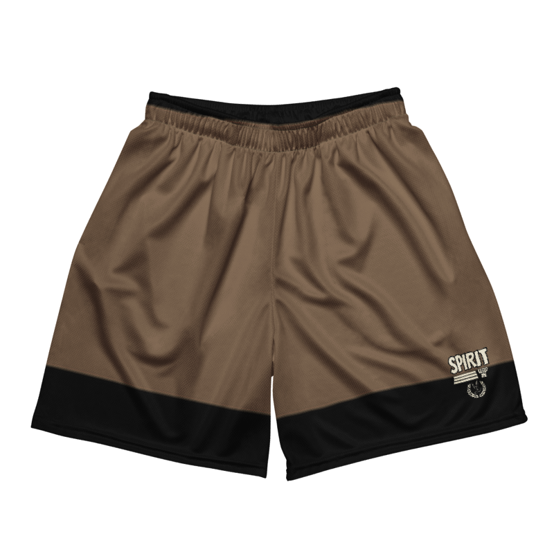 Vintage Style Mesh Shorts