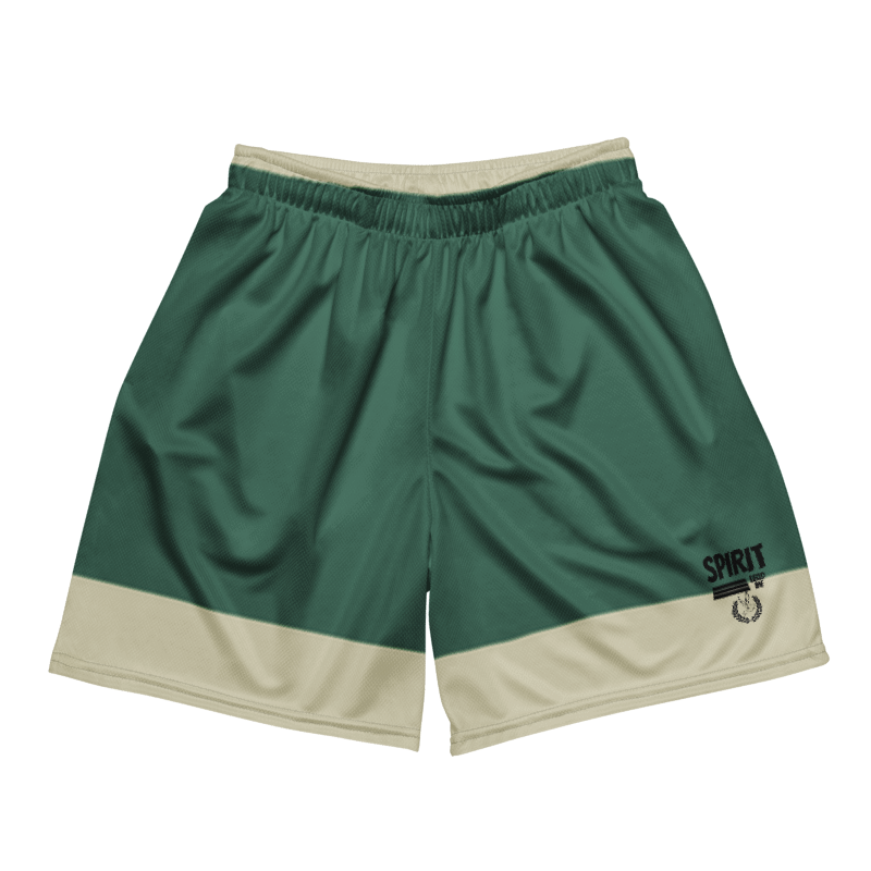 Vintage Style Mesh Shorts
