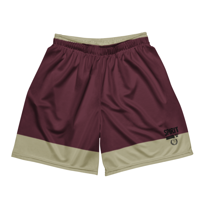 Vintage Style Mesh Shorts